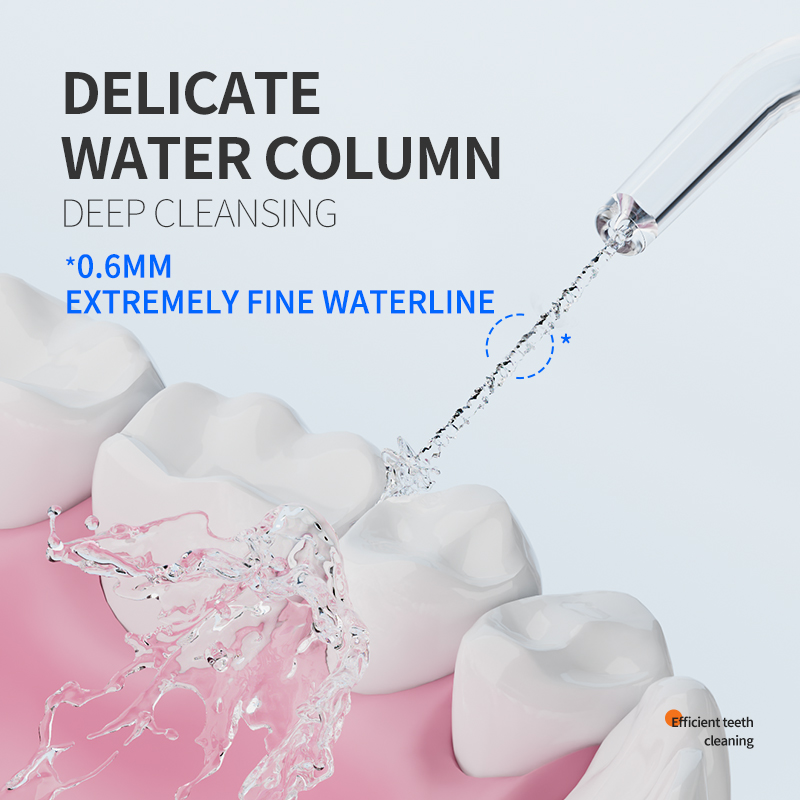 Portable Travel Water Flosser  - đánh giá và giá Oral Irrigator Flosser