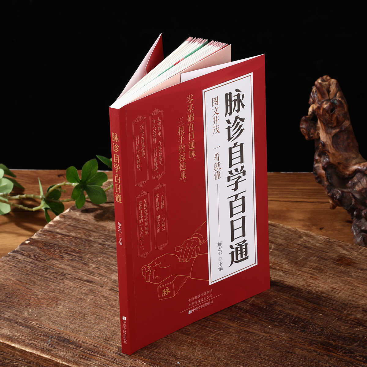 Pulse Diagnosis Self Study Hun - đánh giá và giá Health & Wellness Fee